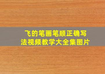 飞的笔画笔顺正确写法视频教学大全集图片