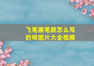 飞笔画笔顺怎么写的呀图片大全视频