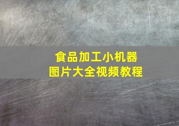 食品加工小机器图片大全视频教程