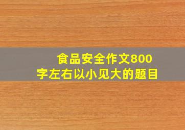 食品安全作文800字左右以小见大的题目