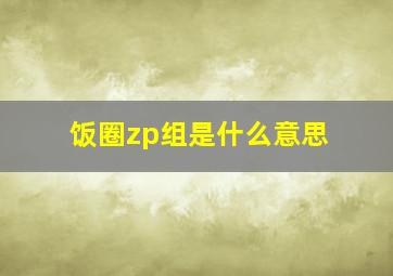 饭圈zp组是什么意思