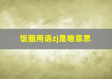 饭圈用语zj是啥意思