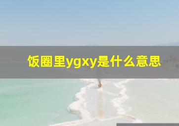 饭圈里ygxy是什么意思