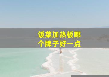 饭菜加热板哪个牌子好一点