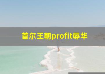 首尔王朝profit辱华