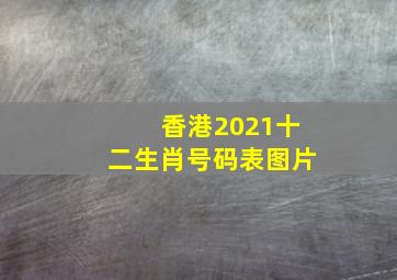 香港2021十二生肖号码表图片