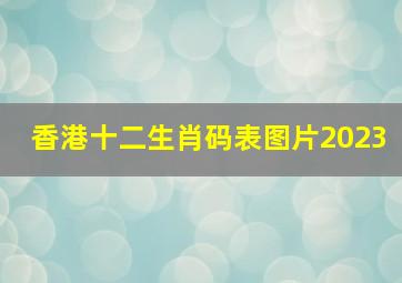 香港十二生肖码表图片2023