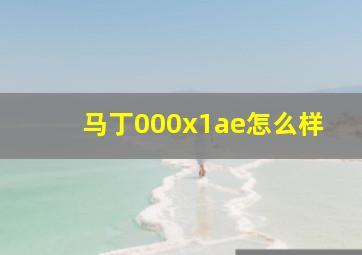 马丁000x1ae怎么样