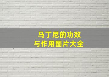 马丁尼的功效与作用图片大全