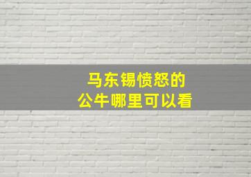 马东锡愤怒的公牛哪里可以看