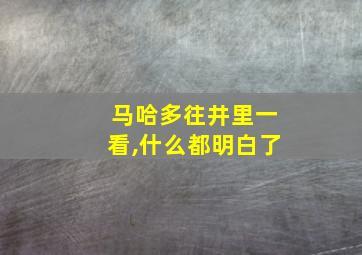 马哈多往井里一看,什么都明白了