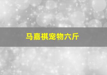 马嘉祺宠物六斤