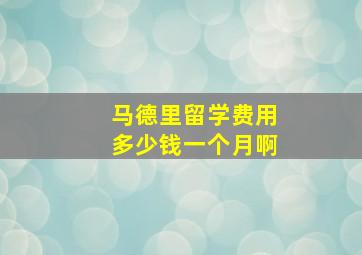 马德里留学费用多少钱一个月啊