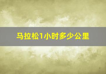 马拉松1小时多少公里