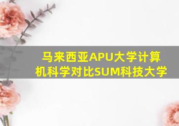 马来西亚APU大学计算机科学对比SUM科技大学