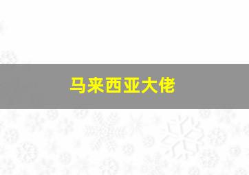 马来西亚大佬