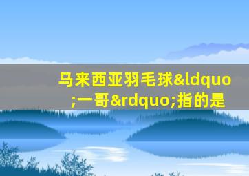 马来西亚羽毛球“一哥”指的是