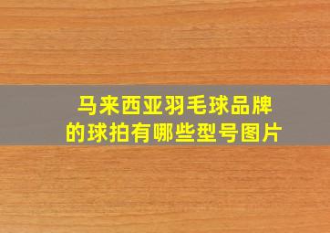 马来西亚羽毛球品牌的球拍有哪些型号图片