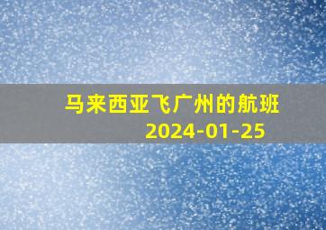 马来西亚飞广州的航班2024-01-25