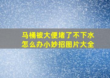 马桶被大便堵了不下水怎么办小妙招图片大全