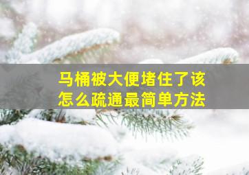 马桶被大便堵住了该怎么疏通最简单方法