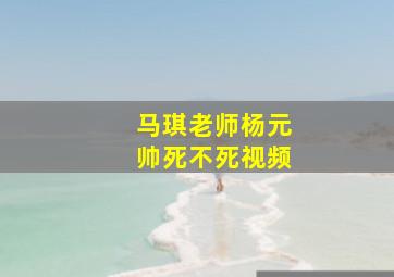 马琪老师杨元帅死不死视频