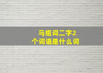 马组词二字2个词语是什么词