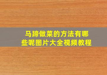 马蹄做菜的方法有哪些呢图片大全视频教程