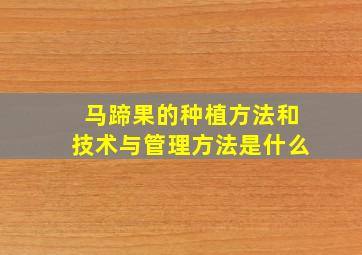 马蹄果的种植方法和技术与管理方法是什么