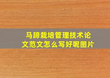 马蹄栽培管理技术论文范文怎么写好呢图片