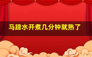 马蹄水开煮几分钟就熟了