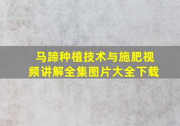 马蹄种植技术与施肥视频讲解全集图片大全下载