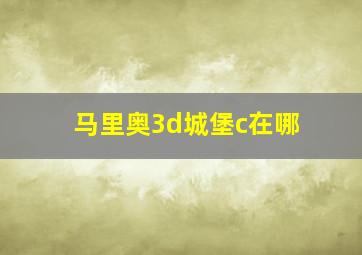 马里奥3d城堡c在哪