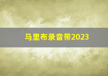 马里布录音带2023