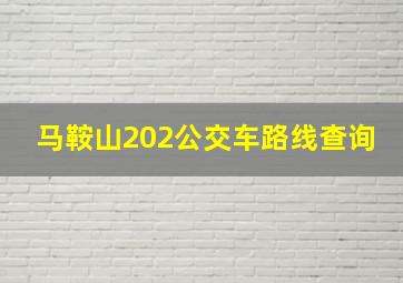 马鞍山202公交车路线查询