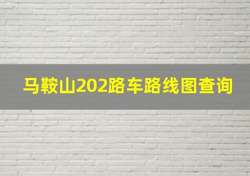 马鞍山202路车路线图查询