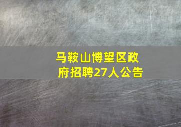 马鞍山博望区政府招聘27人公告