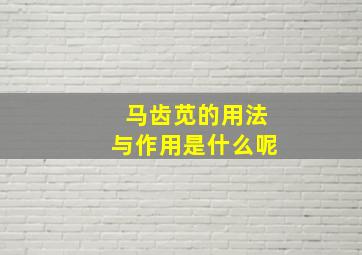 马齿苋的用法与作用是什么呢