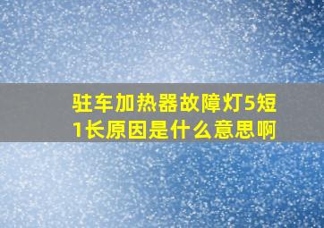 驻车加热器故障灯5短1长原因是什么意思啊