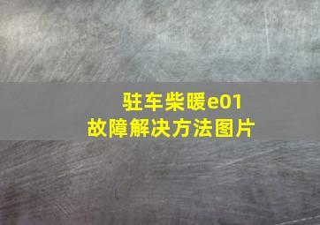 驻车柴暖e01故障解决方法图片