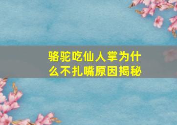 骆驼吃仙人掌为什么不扎嘴原因揭秘