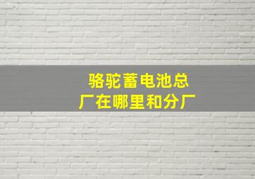 骆驼蓄电池总厂在哪里和分厂