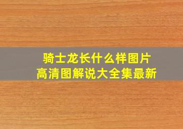 骑士龙长什么样图片高清图解说大全集最新