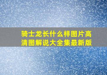 骑士龙长什么样图片高清图解说大全集最新版