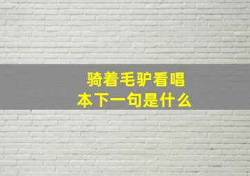 骑着毛驴看唱本下一句是什么