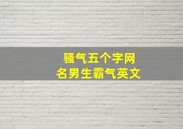 骚气五个字网名男生霸气英文