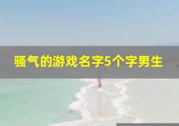 骚气的游戏名字5个字男生