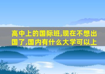 高中上的国际班,现在不想出国了,国内有什么大学可以上