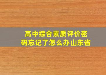 高中综合素质评价密码忘记了怎么办山东省