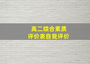 高二综合素质评价表自我评价